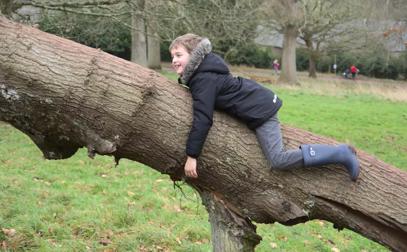 Fred does a spot of tree-hugging, from Killerton House, Broadclyst, Devon - 30th December 2017