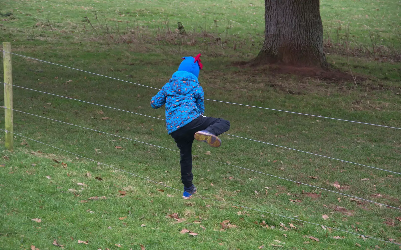 Harry tries to escape, from Killerton House, Broadclyst, Devon - 30th December 2017