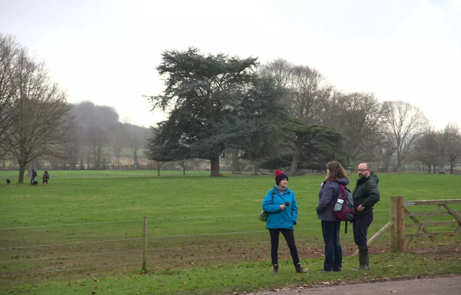 Isobel, Sis and Matt hang around, from Killerton House, Broadclyst, Devon - 30th December 2017