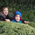 The boys find a nice maze to mess around in, Killerton House, Broadclyst, Devon - 30th December 2017