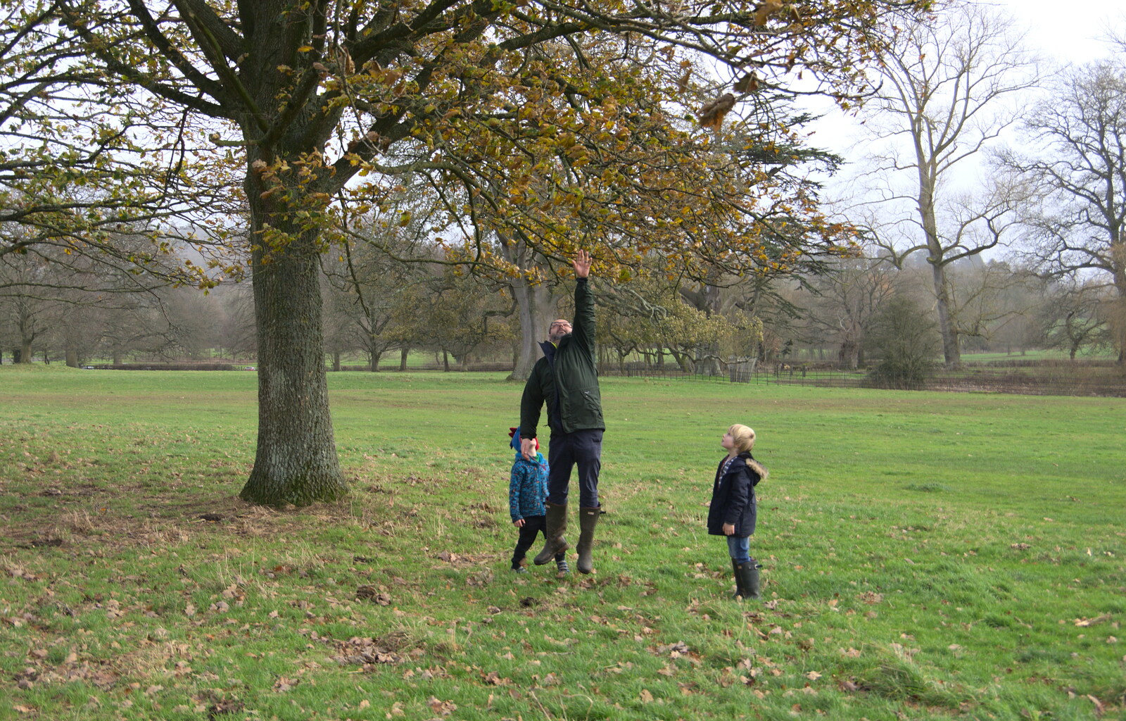Matt jumps up to grab a tree from Killerton House, Broadclyst, Devon - 30th December 2017