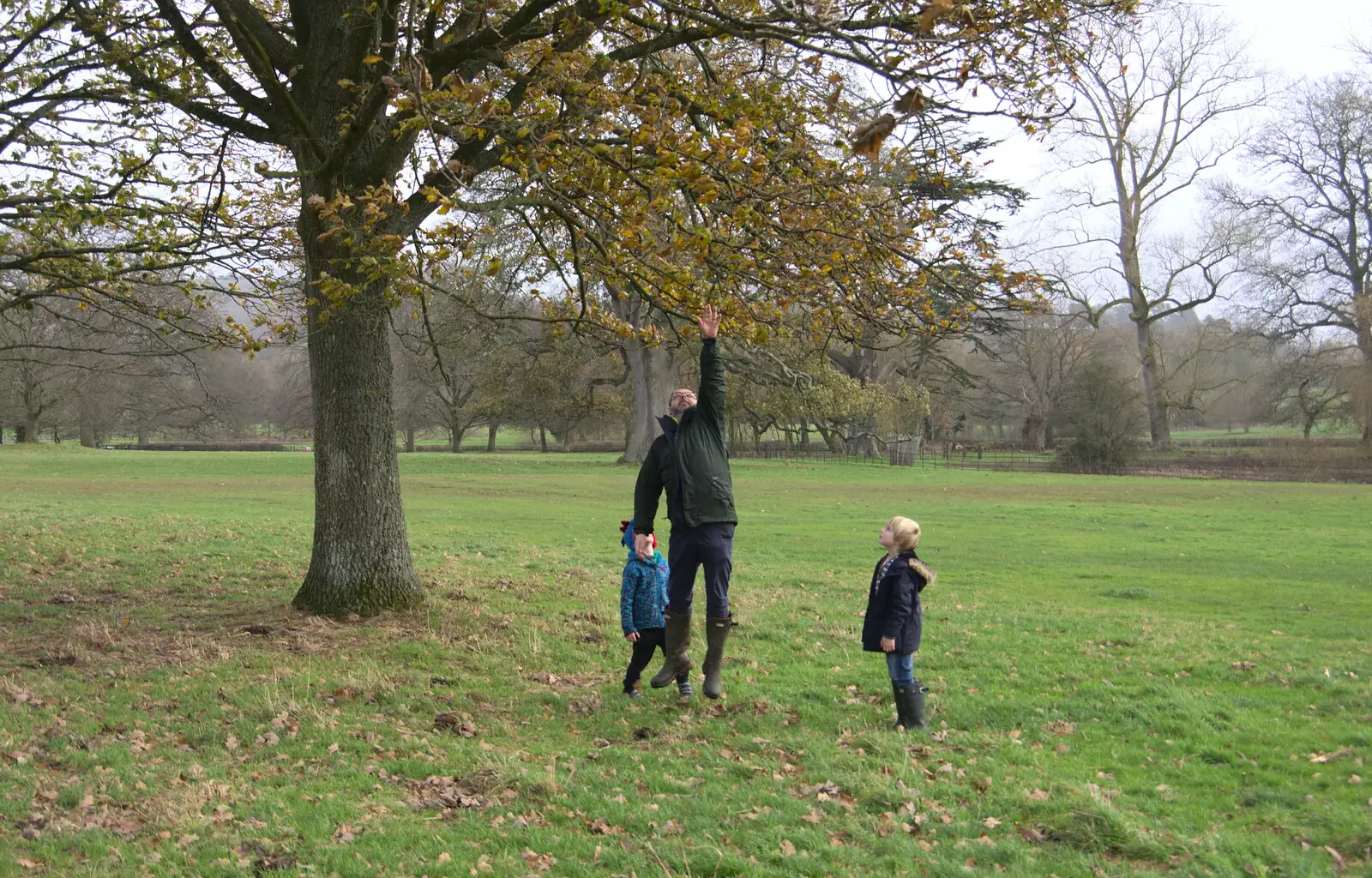 Matt jumps up to grab a tree, from Killerton House, Broadclyst, Devon - 30th December 2017