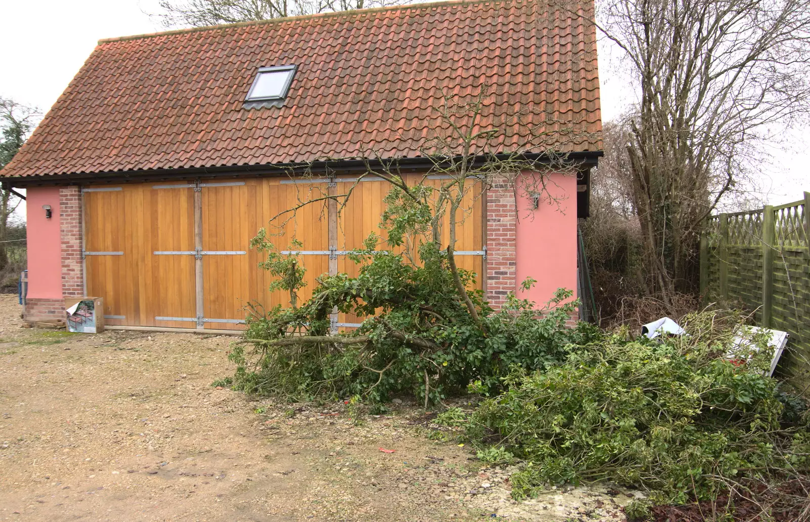 A tree has fallen down in the drive, from New Year's Eve in Spreyton, Devon - 31st December 2017