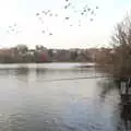 Some dude has an extremely-long fishing rod, January Misc: Haircut 100, Diss, Norfolk - 14th January 2018