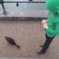 Fred gives a tiny bit of bread to a duck, January Misc: Haircut 100, Diss, Norfolk - 14th January 2018