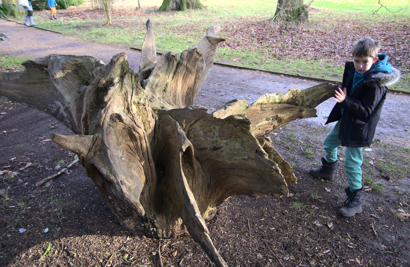 Fred and an up-turned tree stump from Life Below Stairs, Ickworth House, Horringer, Suffolk - 28th January 2018