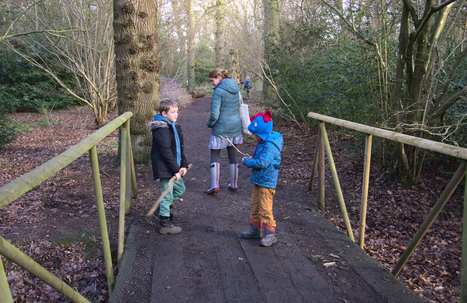 On a small bridge in the woods from Life Below Stairs, Ickworth House, Horringer, Suffolk - 28th January 2018