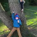 Harry and Fred in a tree, Life Below Stairs, Ickworth House, Horringer, Suffolk - 28th January 2018