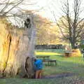 Harry checks a tree-stump out, Life Below Stairs, Ickworth House, Horringer, Suffolk - 28th January 2018