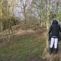 Fred on the throne, A Return to Thornham Walks, Suffolk - 4th February 2018