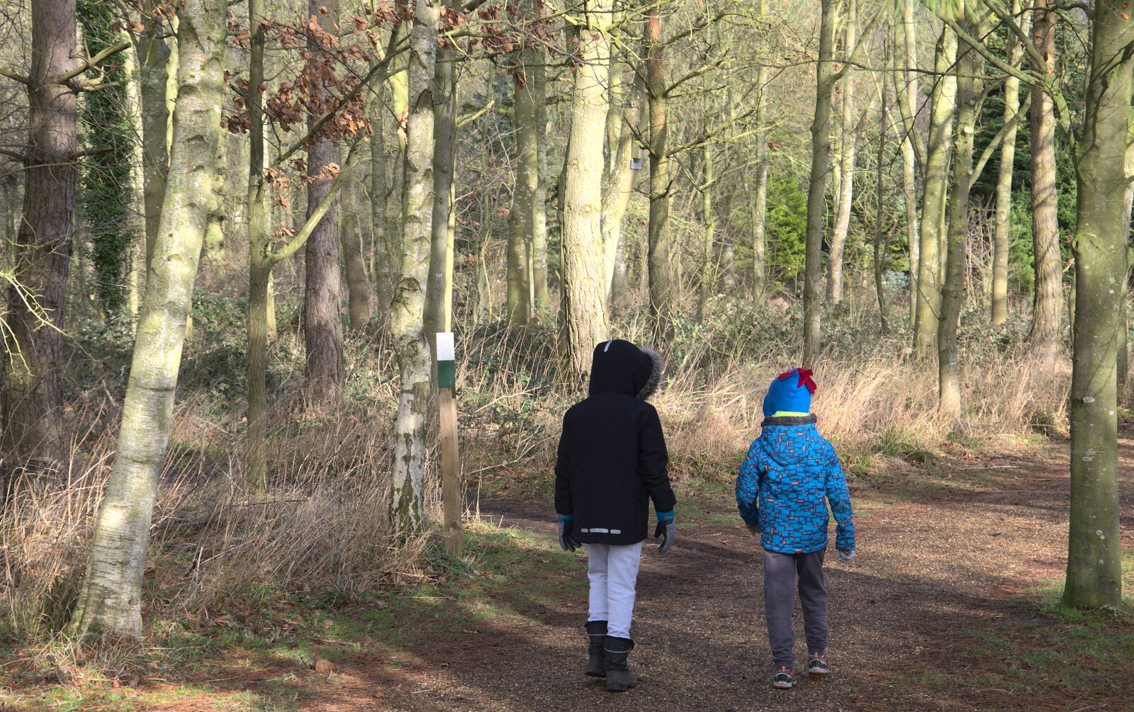 Fred and Harry walk off through the woods from A Return to Thornham Walks, Suffolk - 4th February 2018