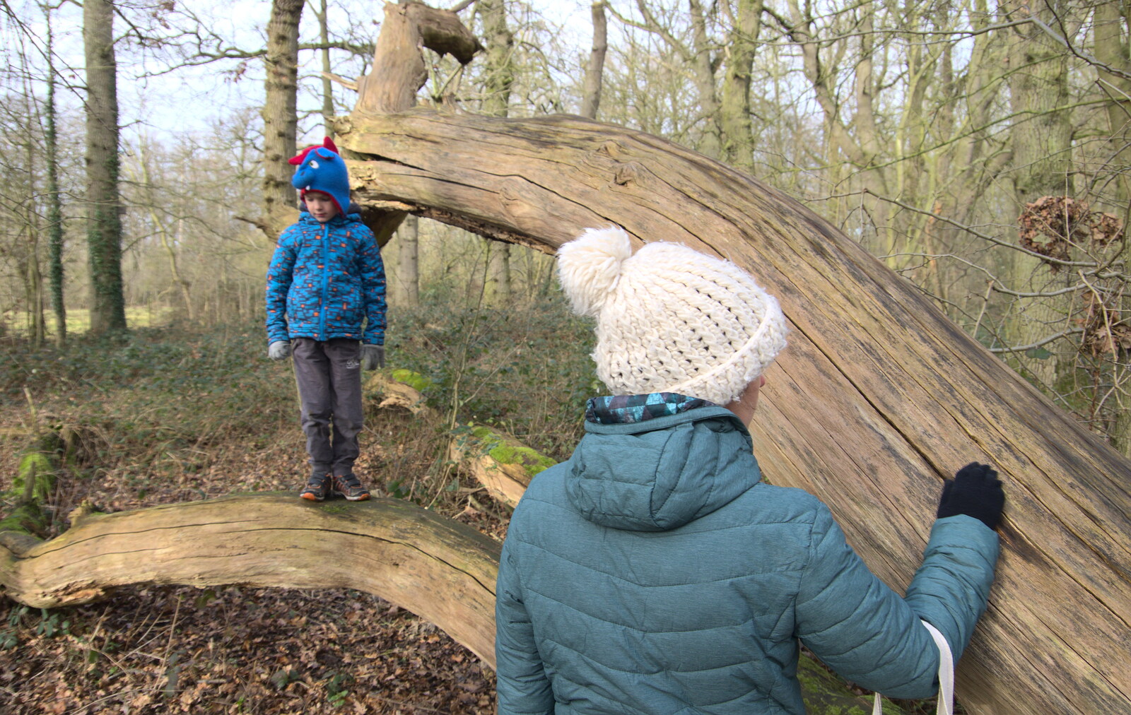 Isobel strokes a tree from A Return to Thornham Walks, Suffolk - 4th February 2018