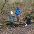 Out in the woods, A Return to Thornham Walks, Suffolk - 4th February 2018