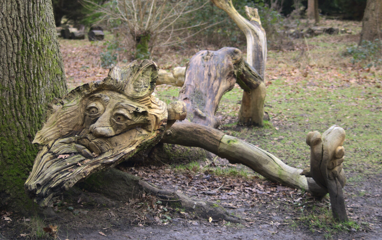 a fallen tree has been carved into an old man from A Return to Thornham Walks, Suffolk - 4th February 2018
