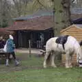 Morag the pony outside the Forge Café, A Return to Thornham Walks, Suffolk - 4th February 2018