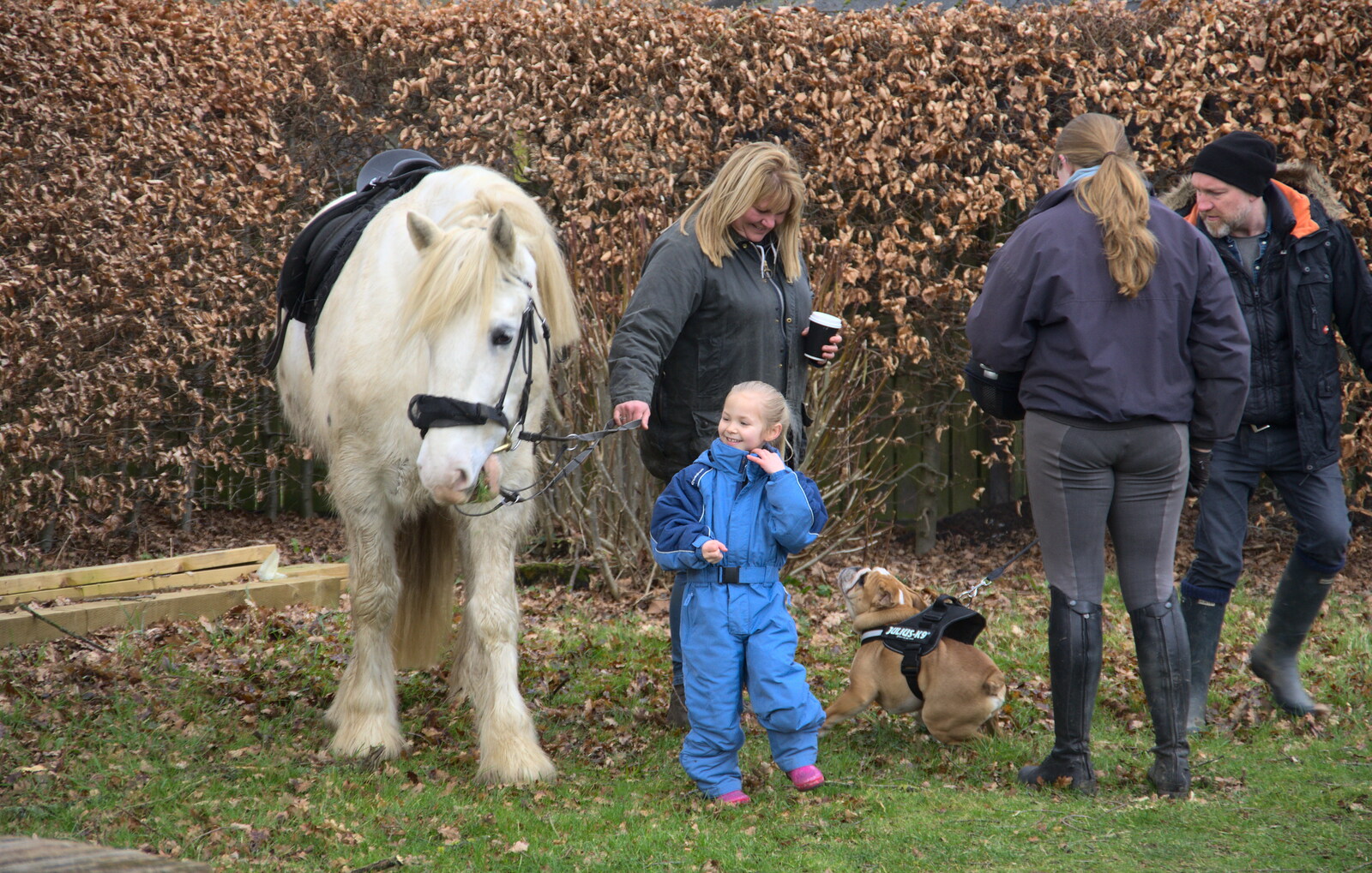 Morag the pony proves popular from A Return to Thornham Walks, Suffolk - 4th February 2018