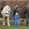 Morag the pony proves popular, A Return to Thornham Walks, Suffolk - 4th February 2018