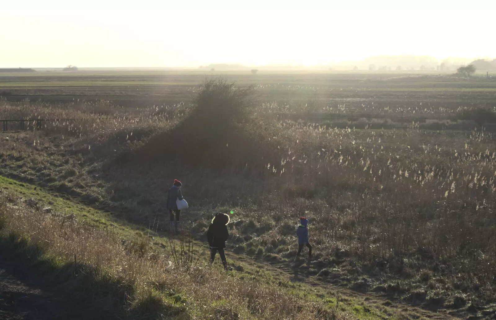 Down in the marshes, from An Orford Day Out, Orford, Suffolk - 17th February 2018