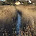 In the marsh reeds, An Orford Day Out, Orford, Suffolk - 17th February 2018