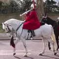 A bugler on horseback, Snowmageddon: The Beast From the East, Suffolk and London - 27th February 2018