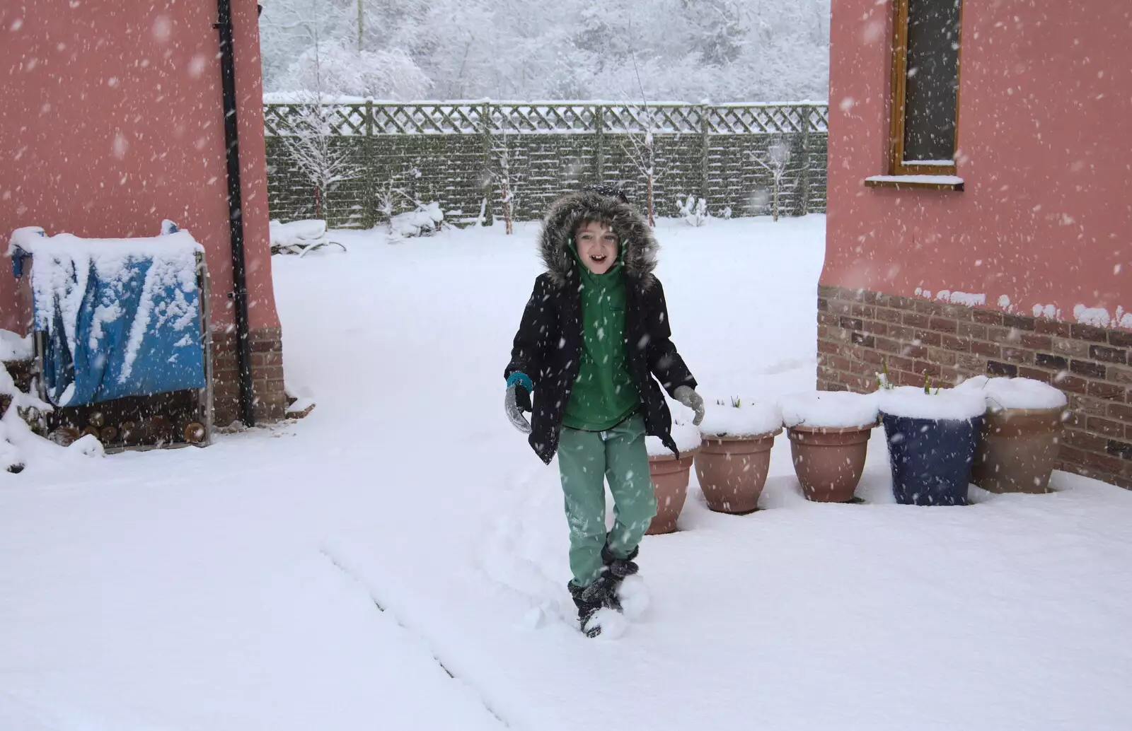 Fred's enjoying the fresh snow, from The Beast From the East: Snow Days, Brome, Suffolk - 28th February 2018