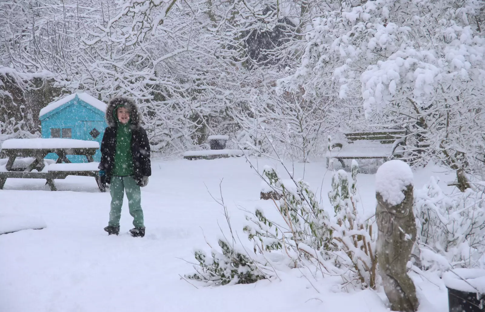 Fred roams around in the garden, from The Beast From the East: Snow Days, Brome, Suffolk - 28th February 2018