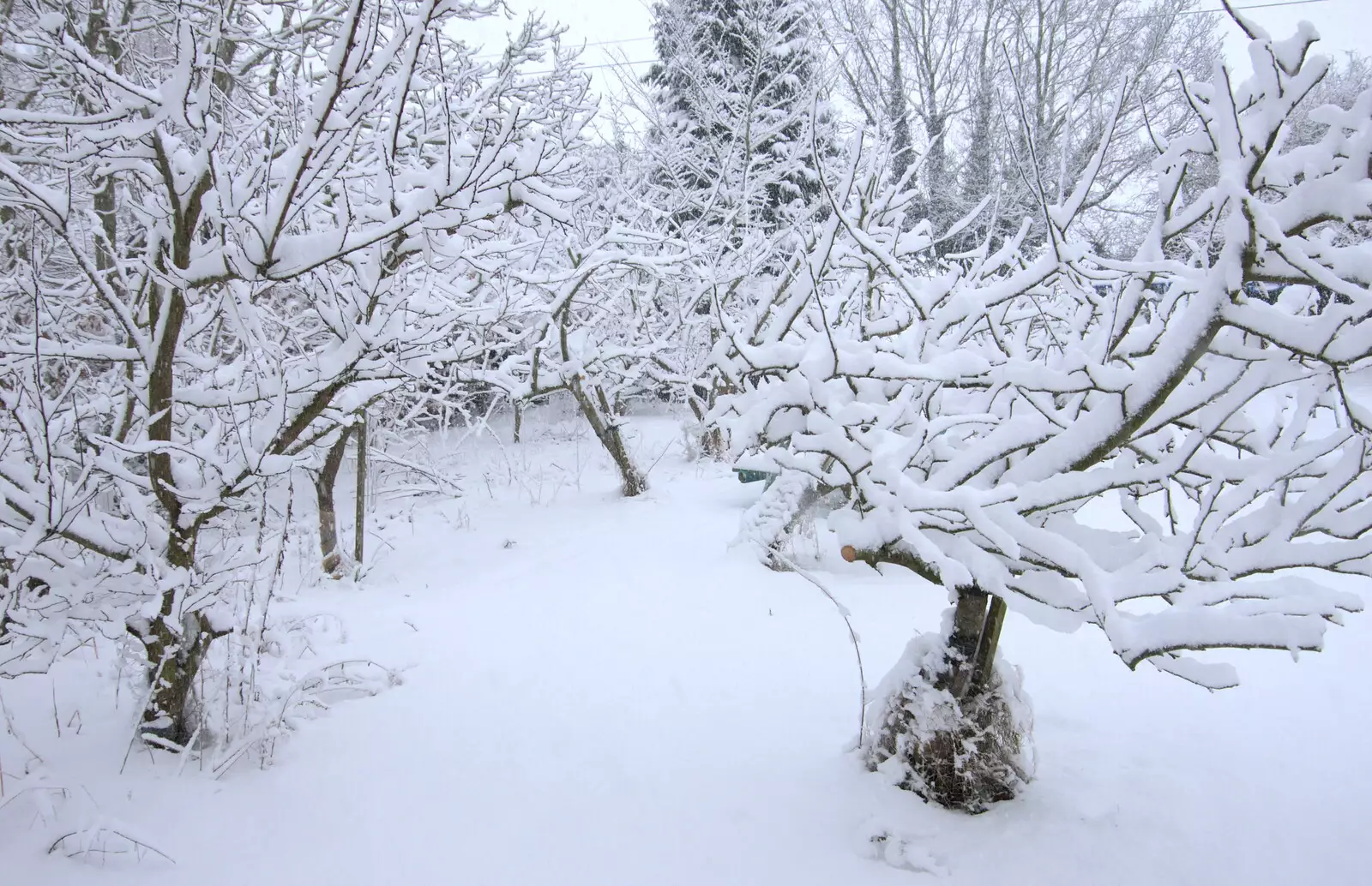 The orchard, from The Beast From the East: Snow Days, Brome, Suffolk - 28th February 2018