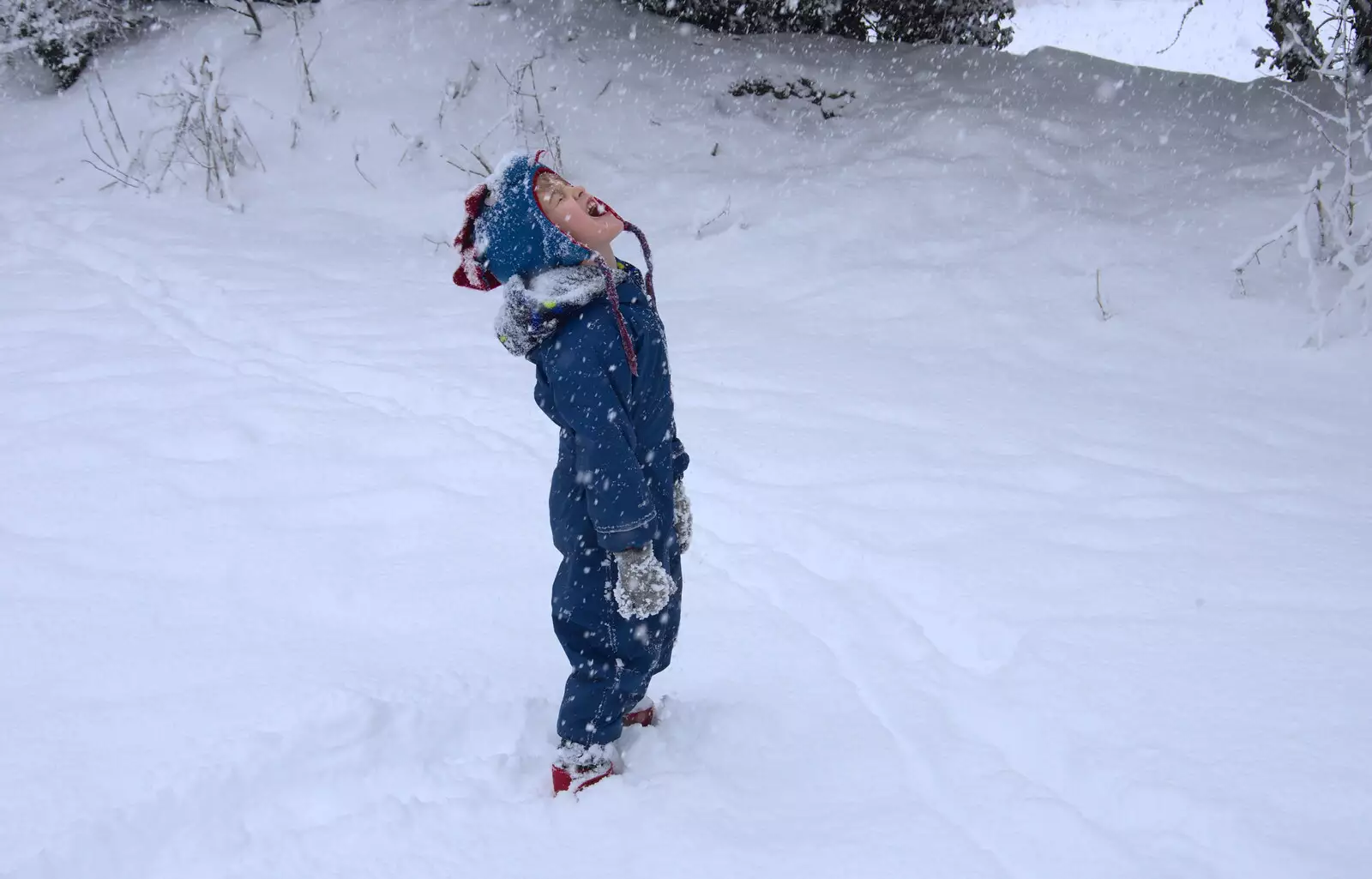 Harry tries to eat snow, from The Beast From the East: Snow Days, Brome, Suffolk - 28th February 2018