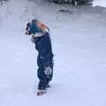 Harry tries to eat snow, The Beast From the East: Snow Days, Brome, Suffolk - 28th February 2018