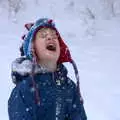 Harry eats snow as it falls from the sky, The Beast From the East: Snow Days, Brome, Suffolk - 28th February 2018