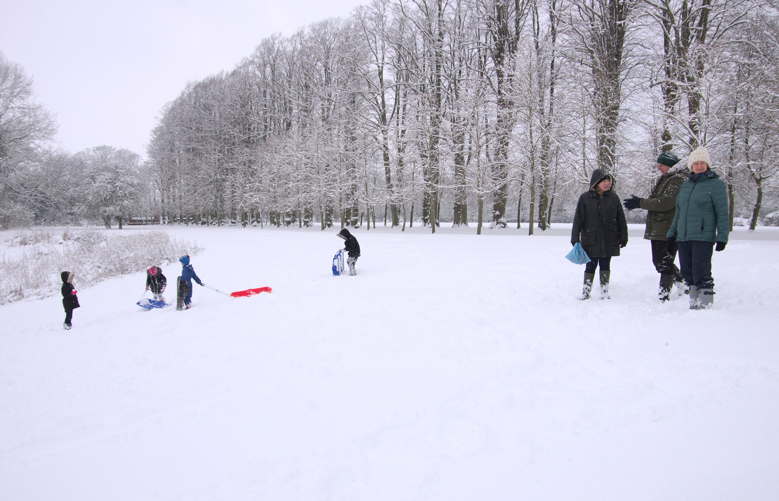 There's a spot of sledging near lunchtime from The Beast From the East: Snow Days, Brome, Suffolk - 28th February 2018