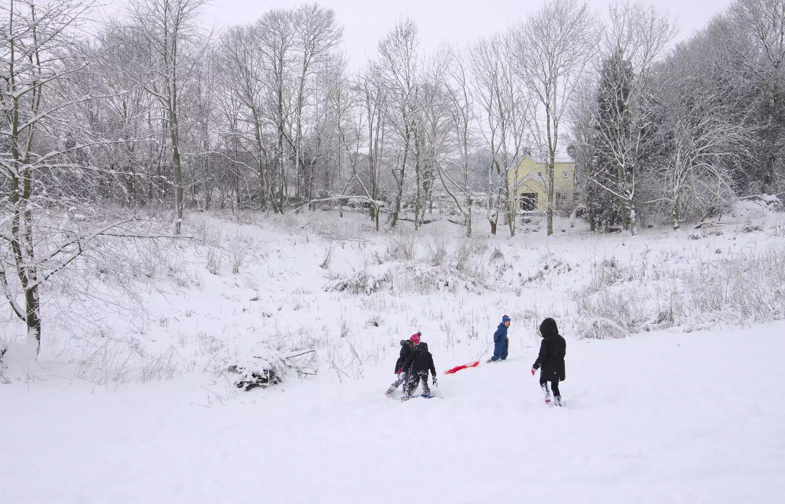 Sledging near the lake, from The Beast From the East: Snow Days, Brome, Suffolk - 28th February 2018