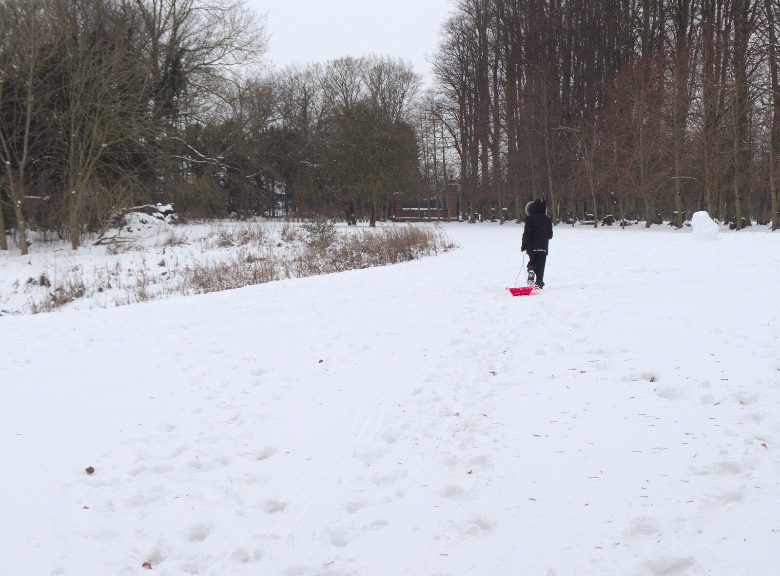 Fred heads off to the hill by the lake from More March Snow and a Postcard from Diss, Norfolk - 3rd March 2018