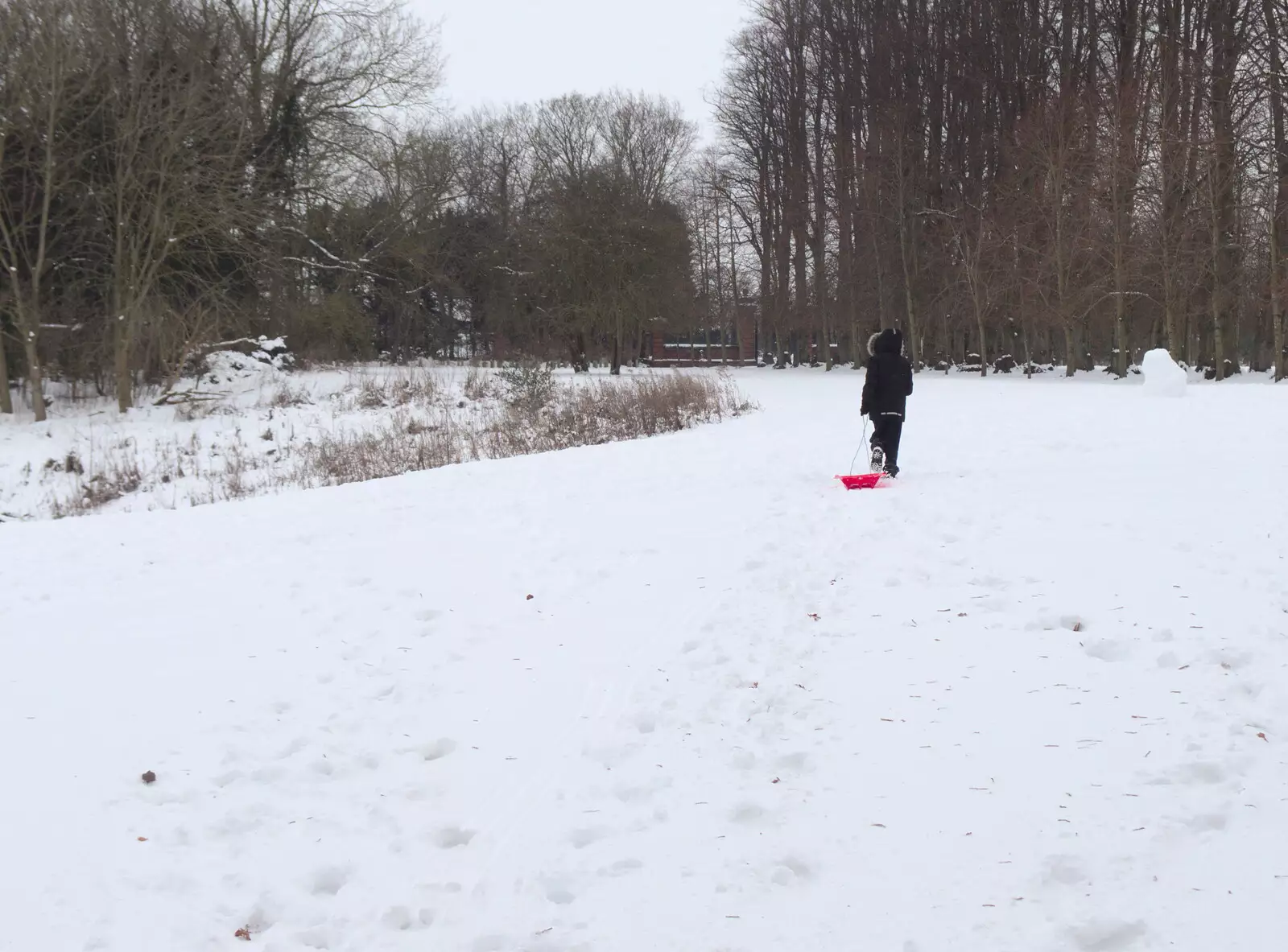 Fred heads off to the hill by the lake, from More March Snow and a Postcard from Diss, Norfolk - 3rd March 2018