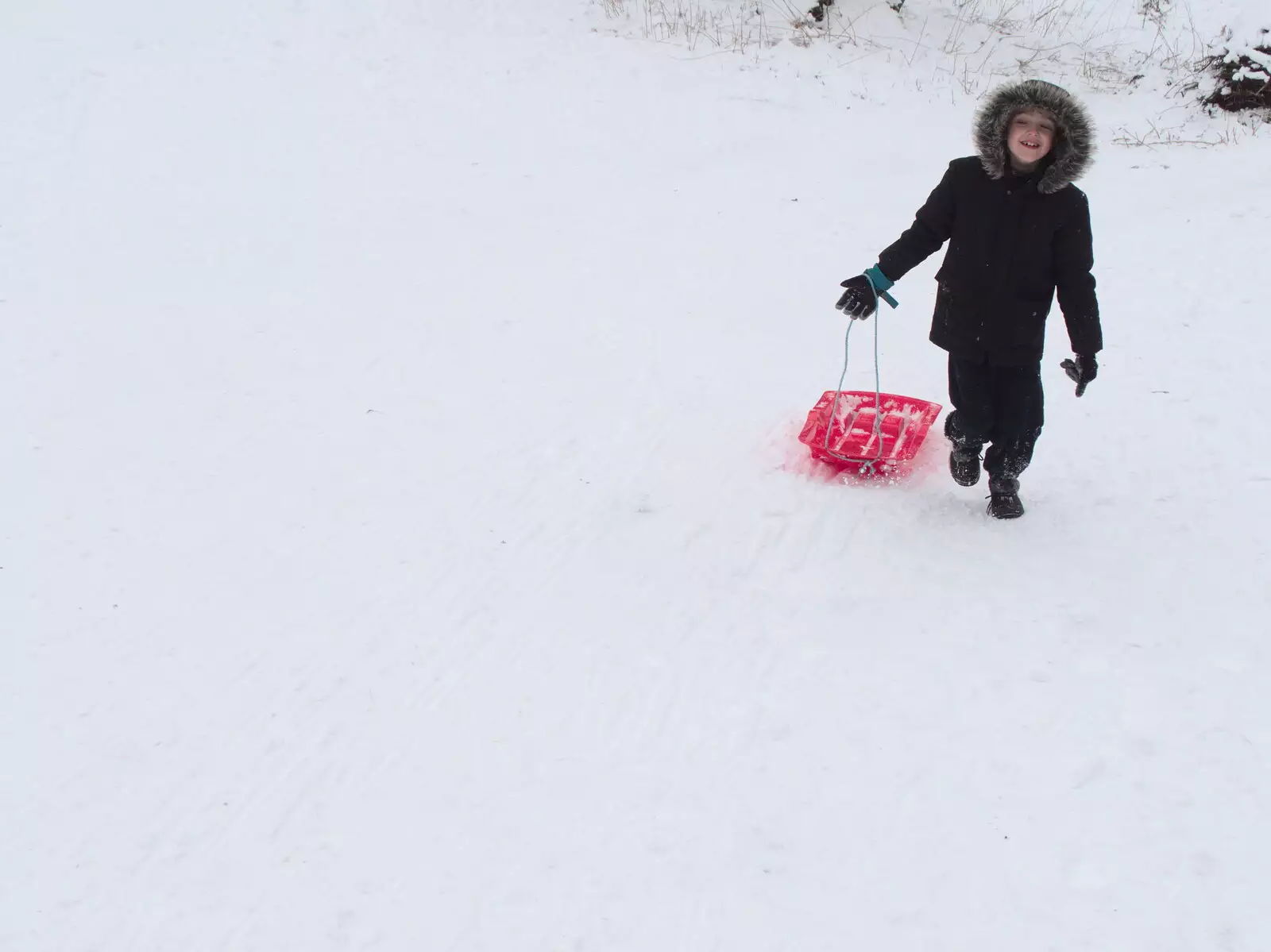 Fred and his sledge, from More March Snow and a Postcard from Diss, Norfolk - 3rd March 2018