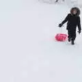 Fred and his sledge, More March Snow and a Postcard from Diss, Norfolk - 3rd March 2018