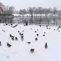 The Mere and the park, More March Snow and a Postcard from Diss, Norfolk - 3rd March 2018