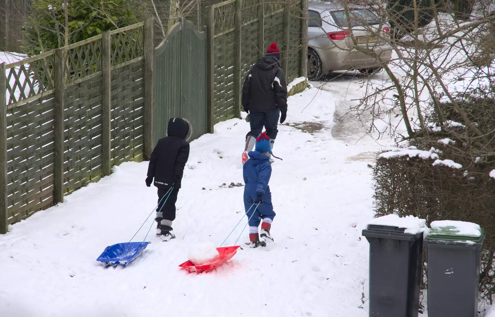 Harry has his precious ball of stolen snow in tow, from More March Snow and a Postcard from Diss, Norfolk - 3rd March 2018