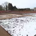 The Oaksmere's new walled garden takes shape, The End of the Beast (From the East), Brome, Suffolk - 4th March 2018