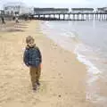 Harry looks 'meh' on the beach, A Southwold Car Picnic, Southwold, Suffolk - 11th March 2018