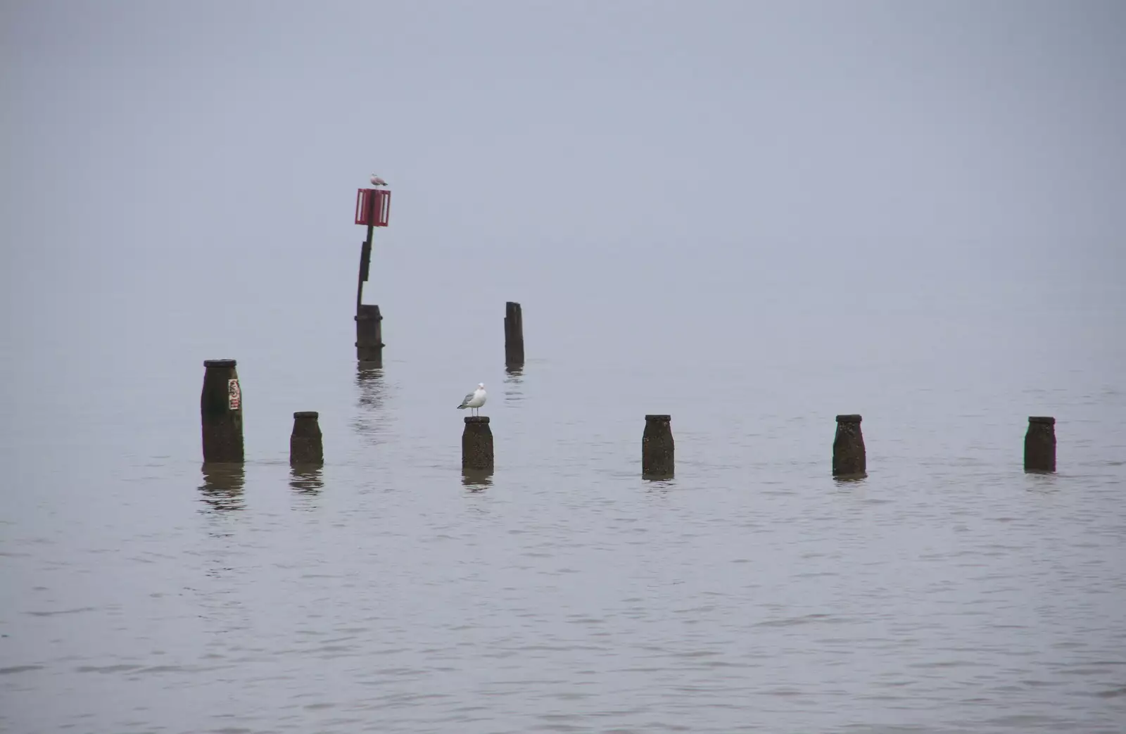 Bird on a groyne, as the sea melts into the sky, from A Southwold Car Picnic, Southwold, Suffolk - 11th March 2018