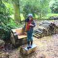 Harry on a log, A Trip to Blickling Hall, Aylsham, Norfolk - 29th April 2018