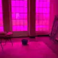 A pink room, thanks to plastic on the windows, A Trip to Blickling Hall, Aylsham, Norfolk - 29th April 2018