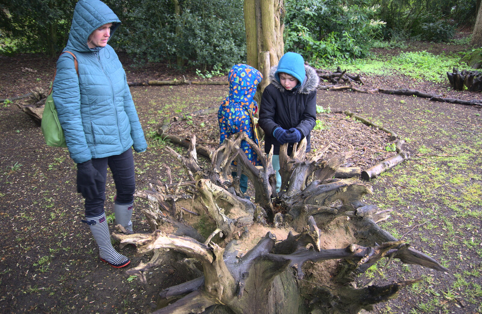 The boys poke around in a stumpery from A Trip to Blickling Hall, Aylsham, Norfolk - 29th April 2018