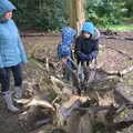 The boys poke around in a stumpery, A Trip to Blickling Hall, Aylsham, Norfolk - 29th April 2018