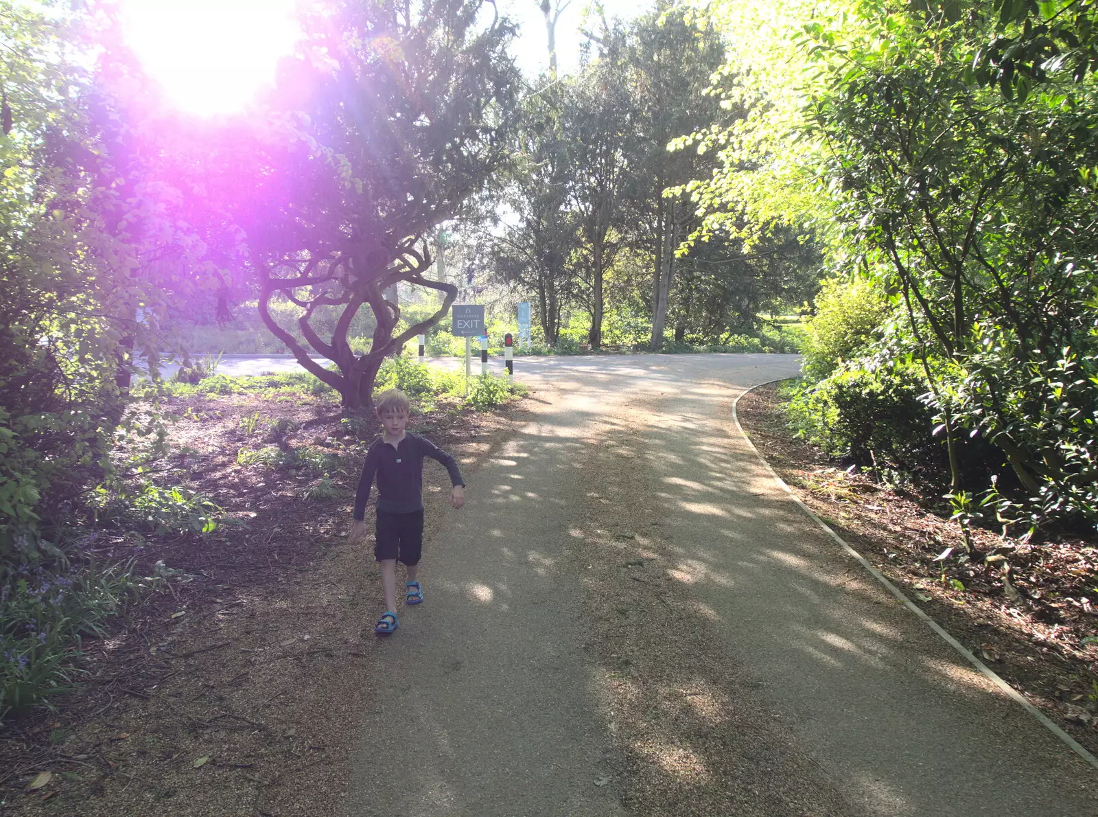 Harry roams around, from A Bike Ride to the Railway Tavern, Mellis, Suffolk - 7th May 2018