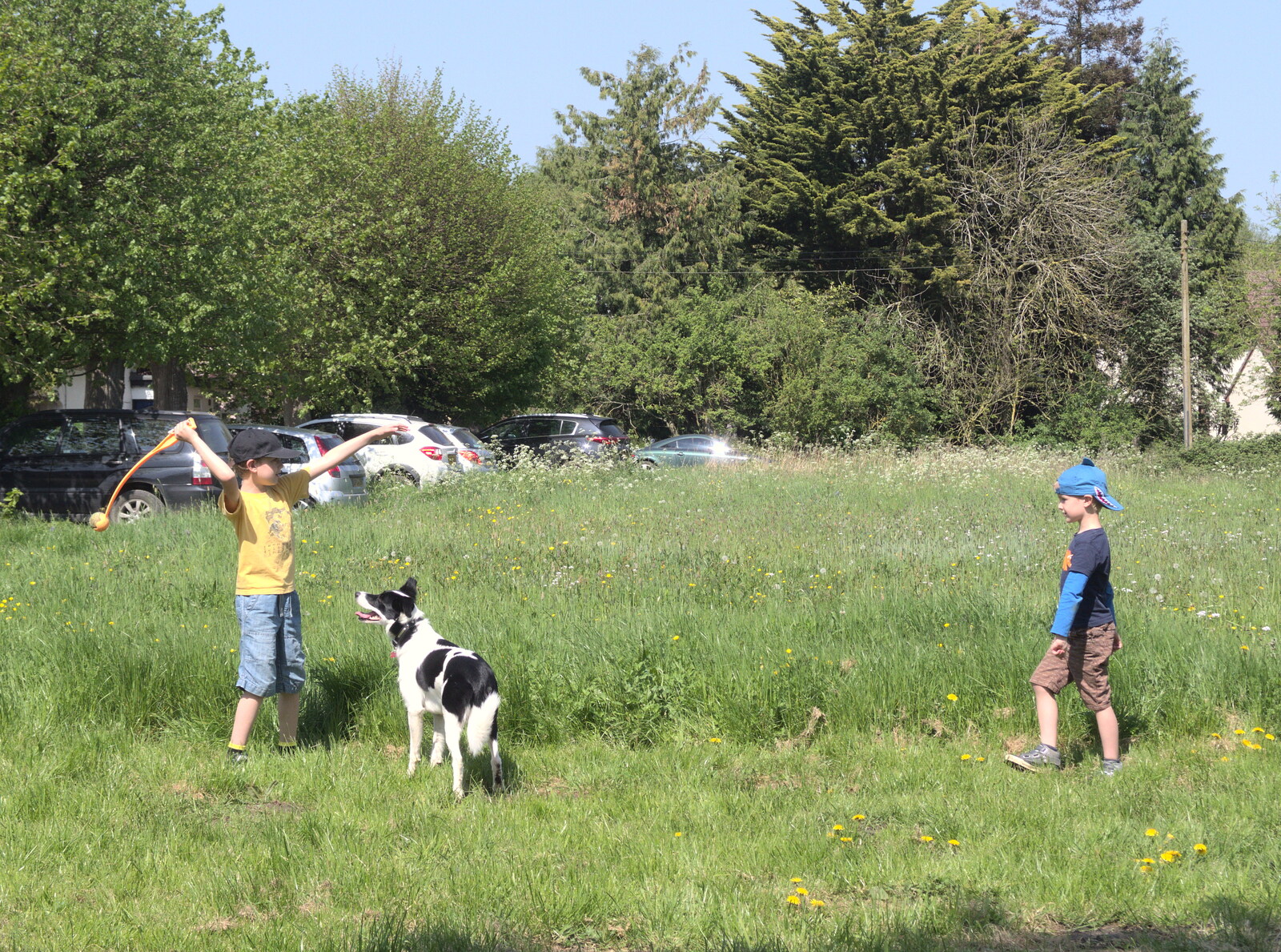 The boys find a dog to play with from A Bike Ride to the Railway Tavern, Mellis, Suffolk - 7th May 2018