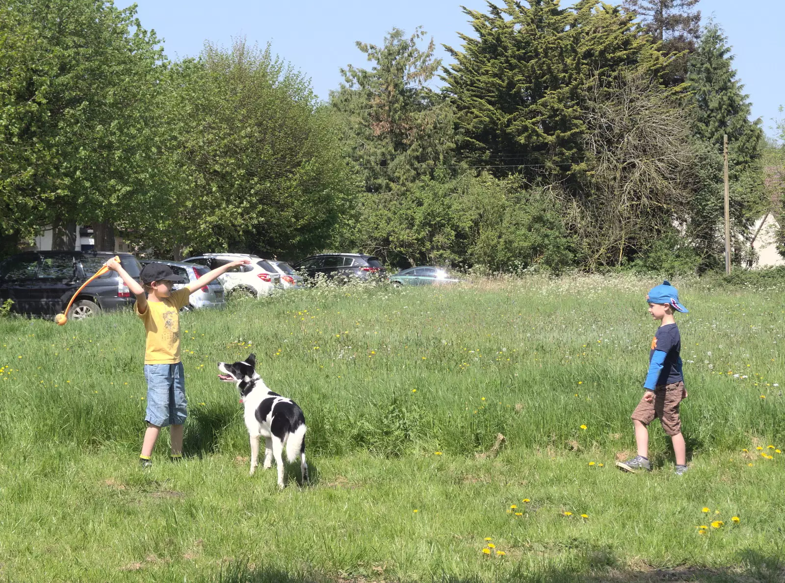 The boys find a dog to play with, from A Bike Ride to the Railway Tavern, Mellis, Suffolk - 7th May 2018