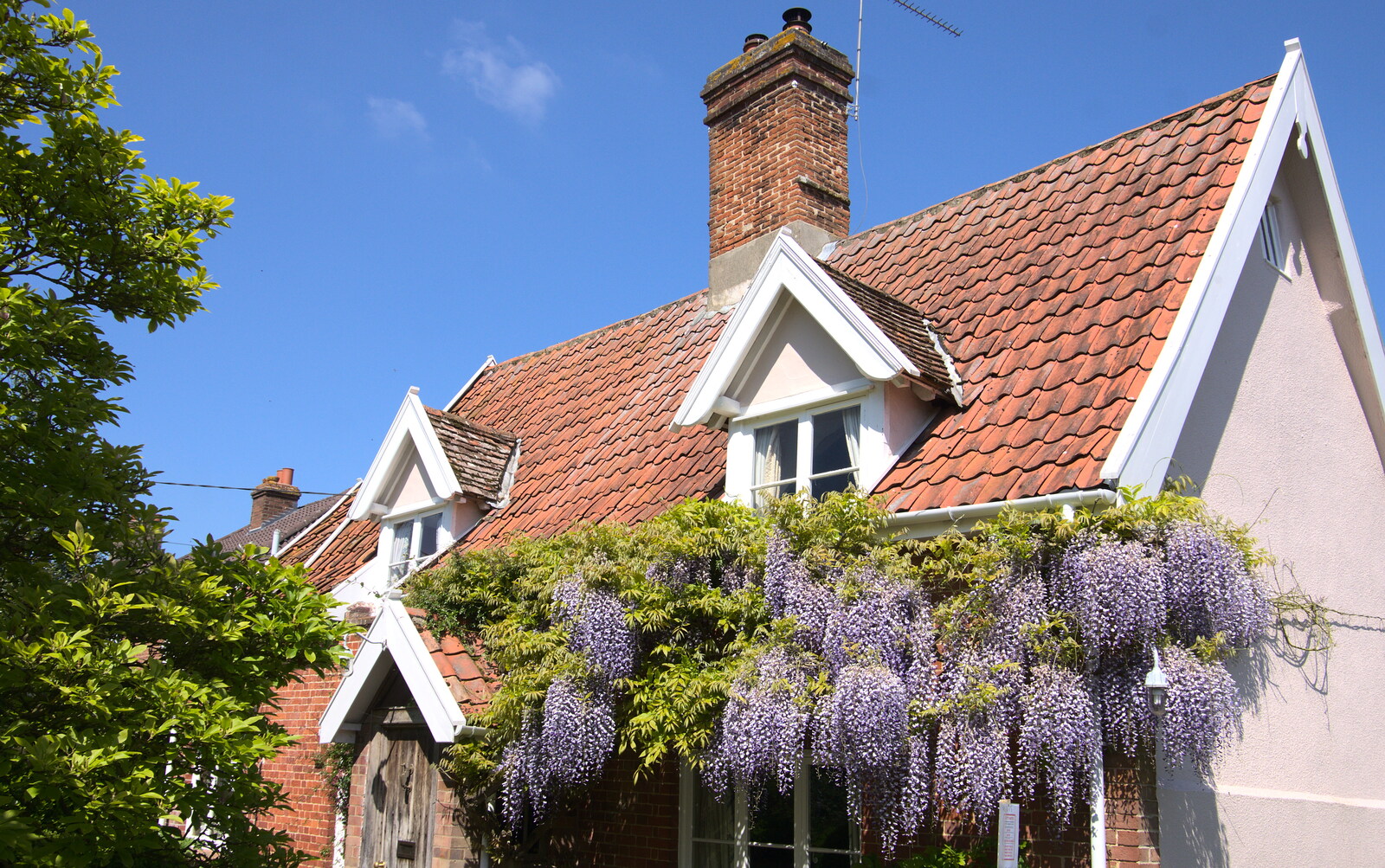 Wisteria on the cottage next door from A Right Royal Wedding at the Village Hall, Brome, Suffolk - 19th May 2018