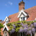 Wisteria on the cottage next door, A Right Royal Wedding at the Village Hall, Brome, Suffolk - 19th May 2018
